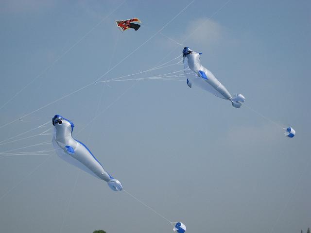 Drachenfest Bergeijk 2009 072.jpg